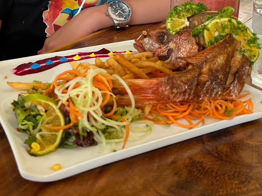 My Time Butterfly Garden-Miramar必去景点