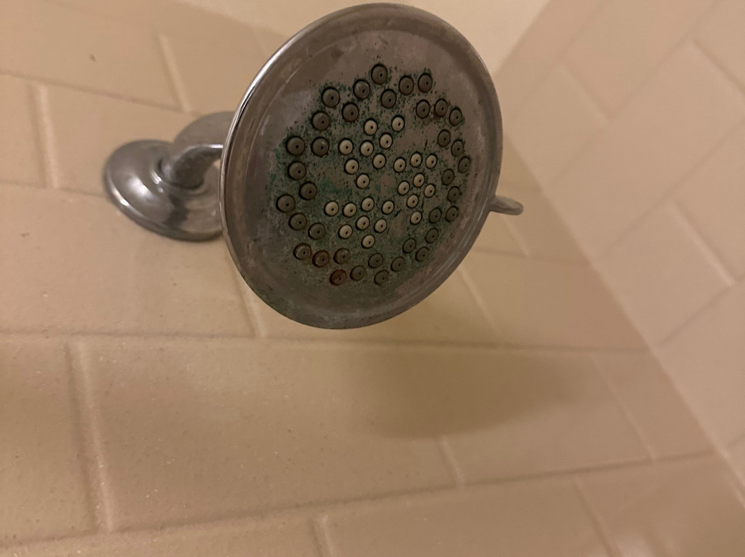 Candlewood Suites Harlingen By IHG主图