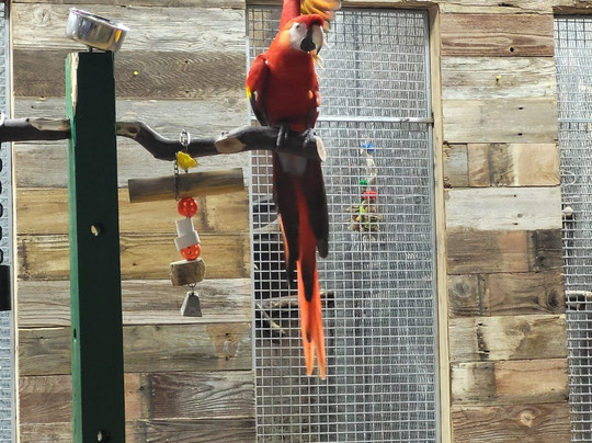 San Antonio Aquarium-圣安东尼奥市必去景点