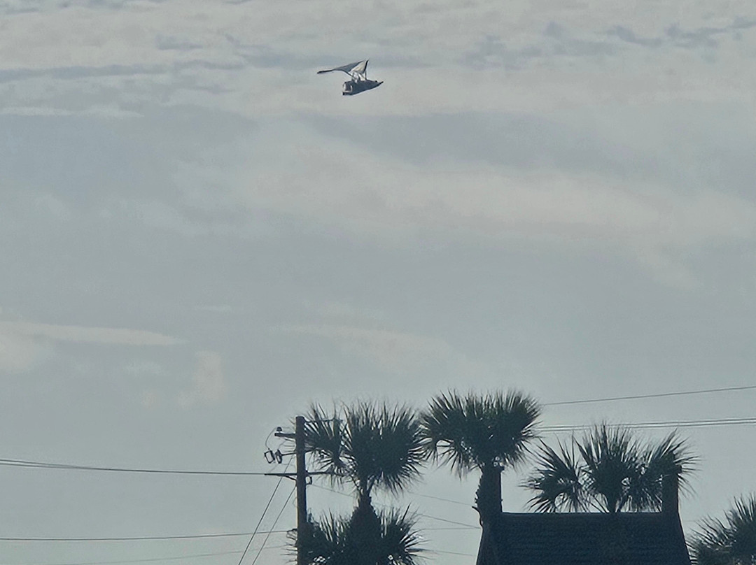 Amphibian Air-萨凡纳必去景点