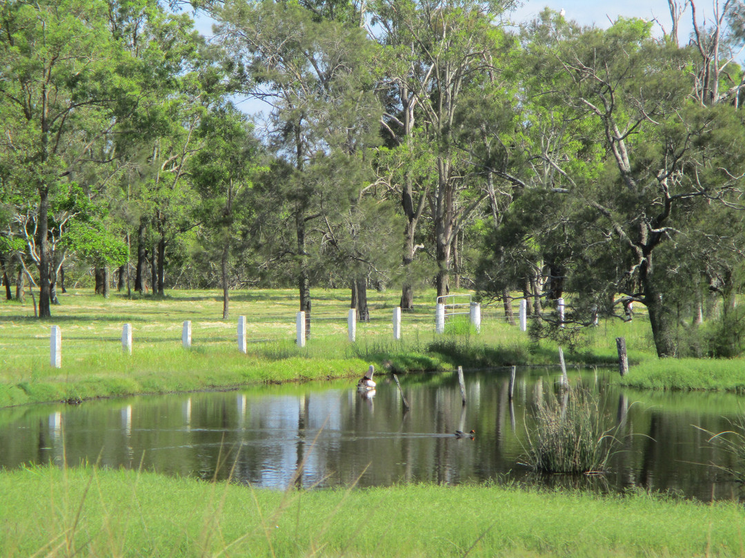 Osprey Environmental Centre Brisbane景点图片