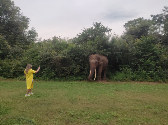 KING OF DLSR TRAVEL-卡卢特勒必去景点