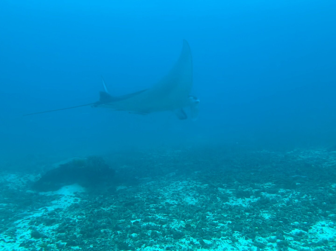 Bicol Dive Center-栋索尔必去景点