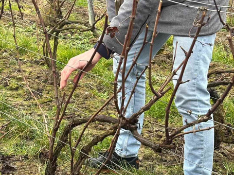 Champagne Lallement Massonnot-Coulommes-la-Montagne必去景点