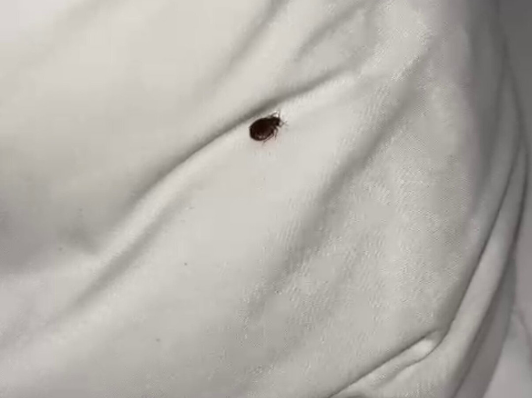 Hampton Inn & Suites by Hilton Thunder Bay主图