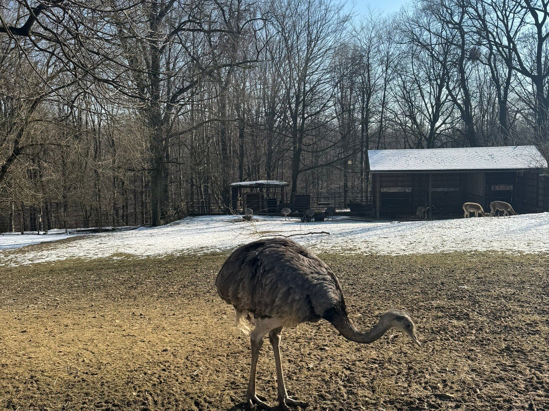 Zoo Ostrava景点图片