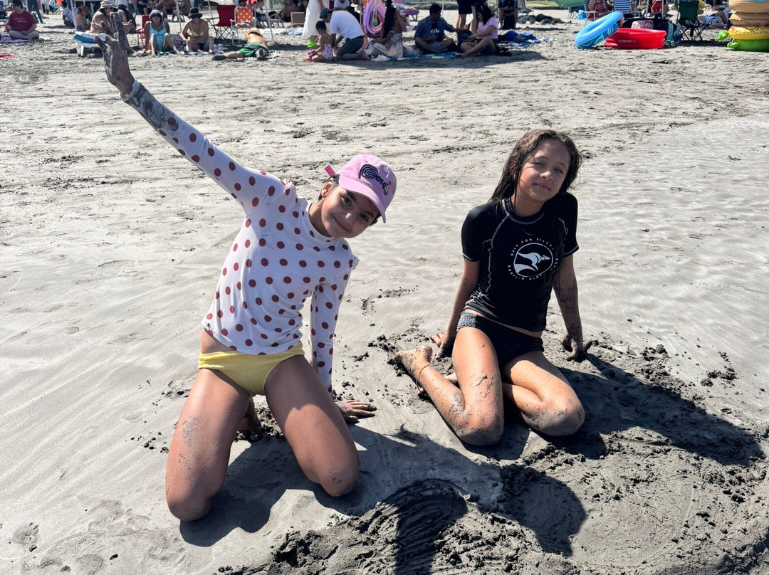 Playa Cavancha-伊基克必去景点