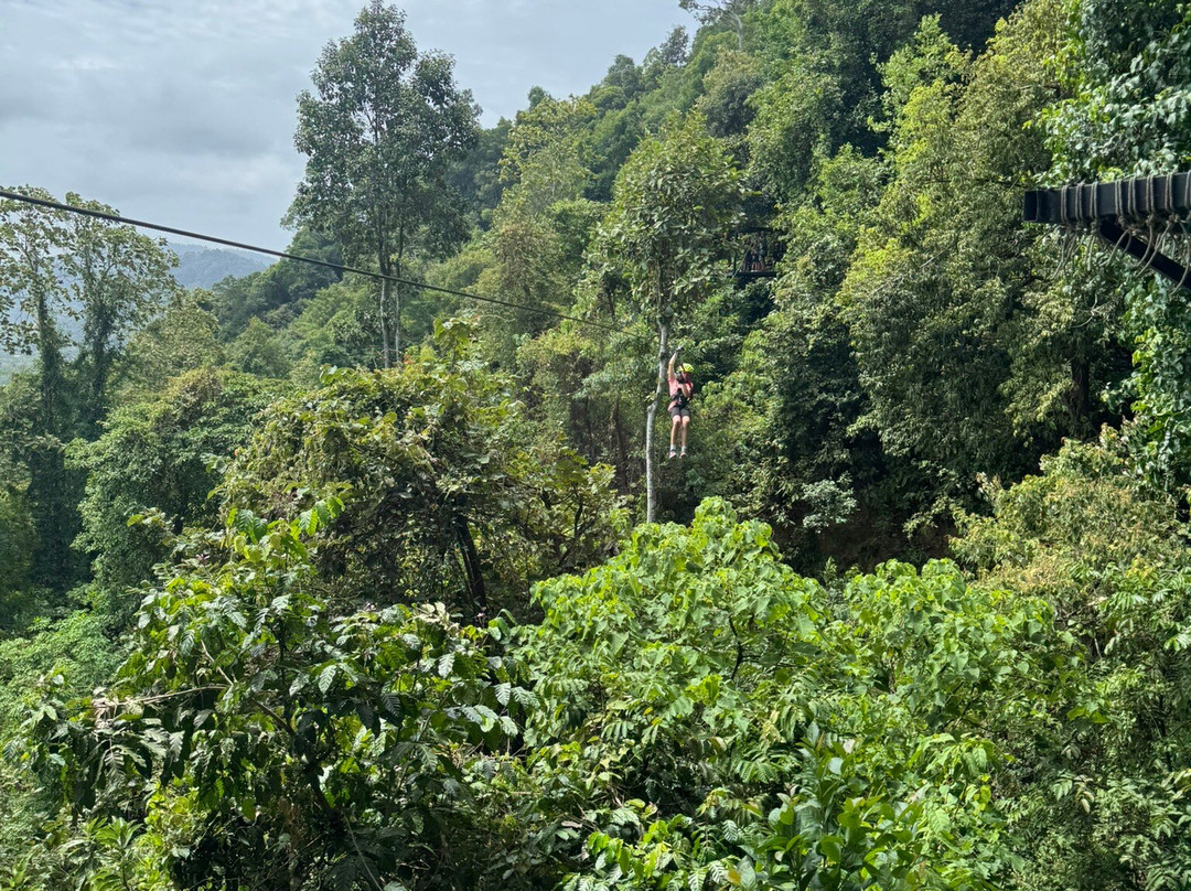 Lanta Zipline-兰塔岛必去景点