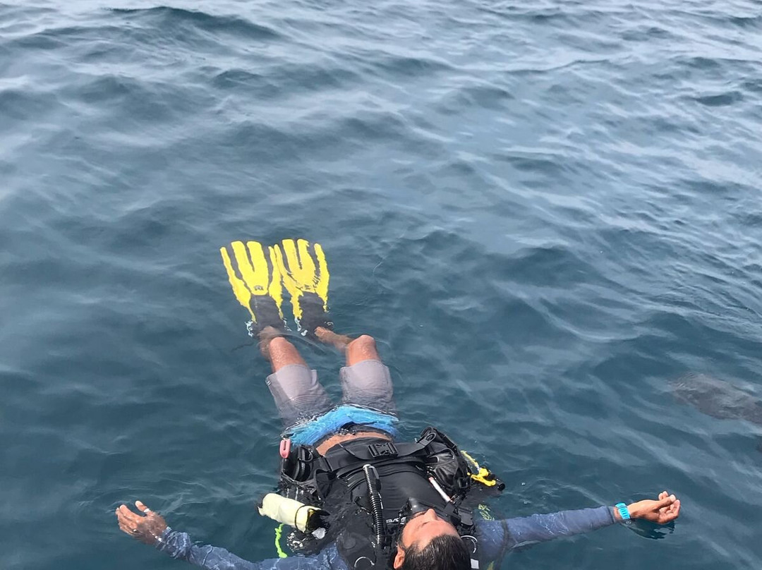Go Divers Maldives景点图片