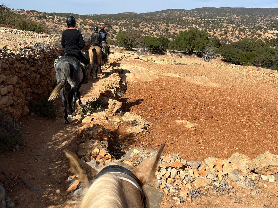 Amazir Cheval-Taghazout必去景点
