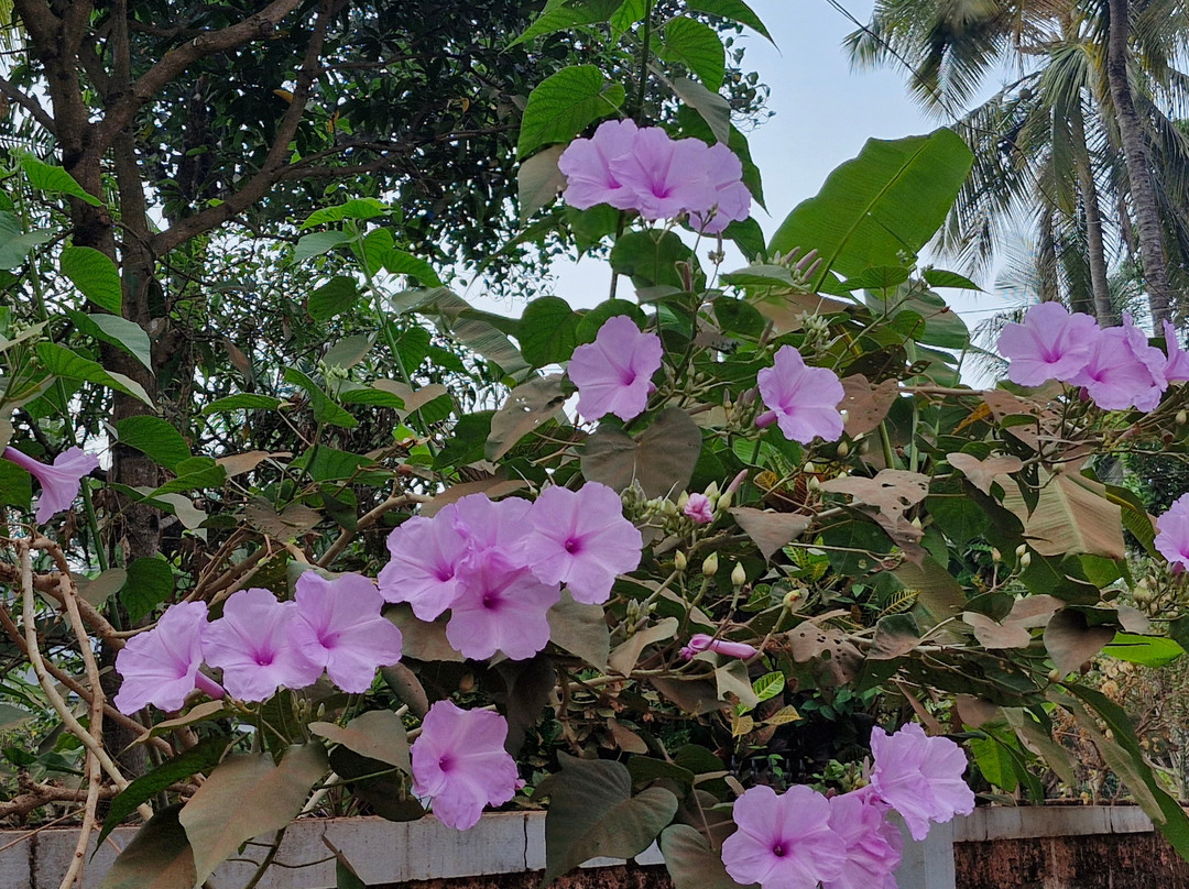 Kannur Beach House主图