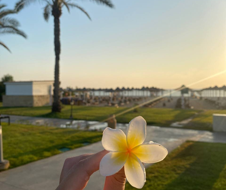 JAZ Tamerina, Almaza Bay主图