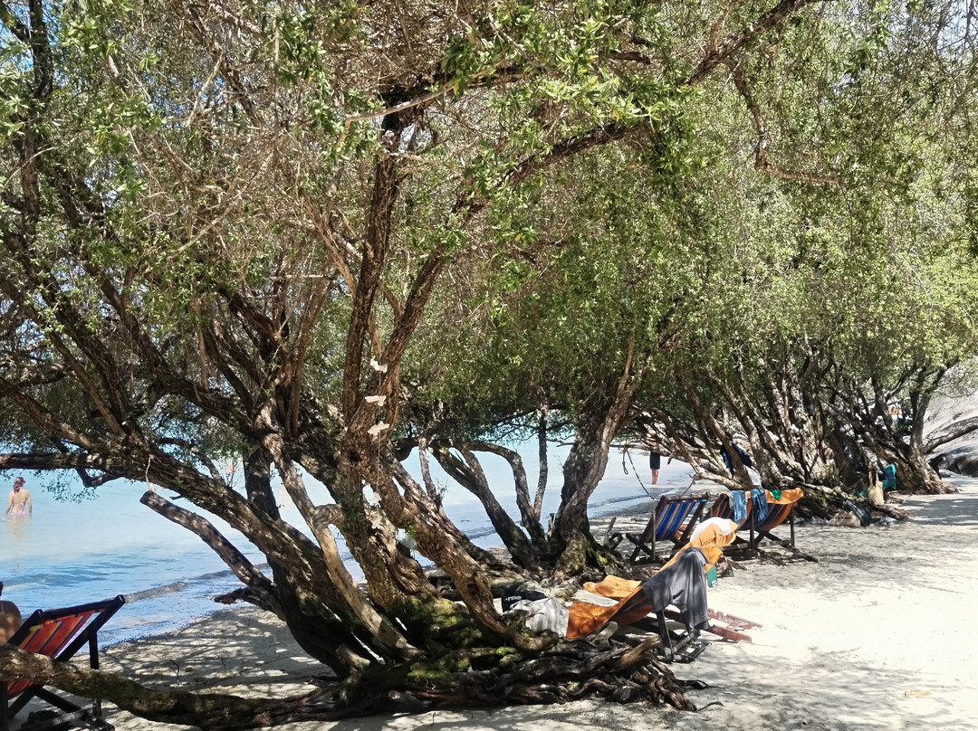 Freedom Beach-涛岛必去景点
