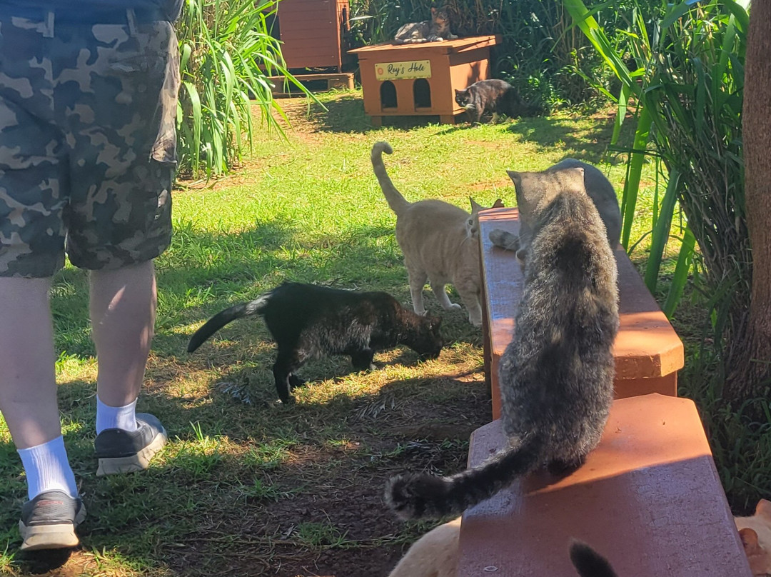 拉奈动物救援中心-拉奈市必去景点