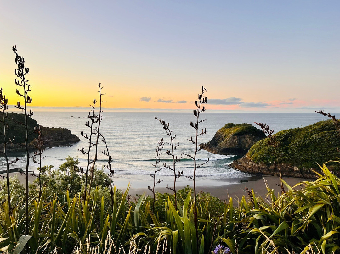 Back Beach-新普利默斯必去景点