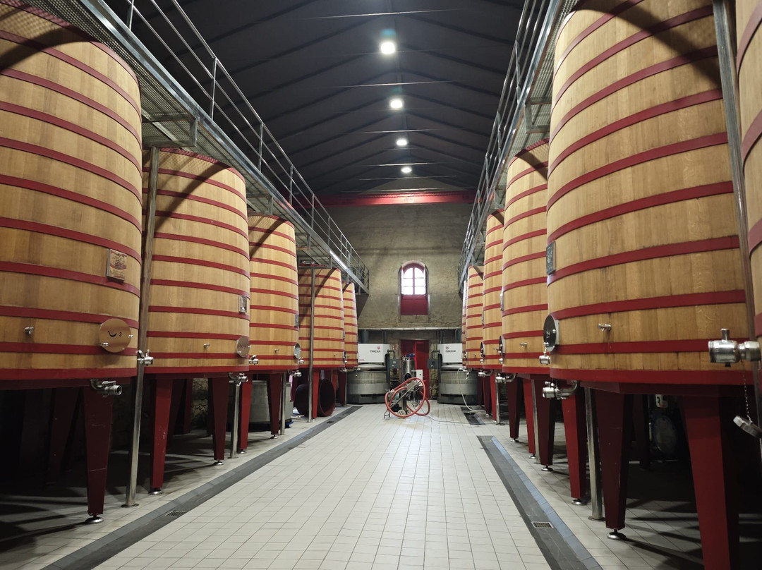 Bodegas Marques de Riscal景点图片