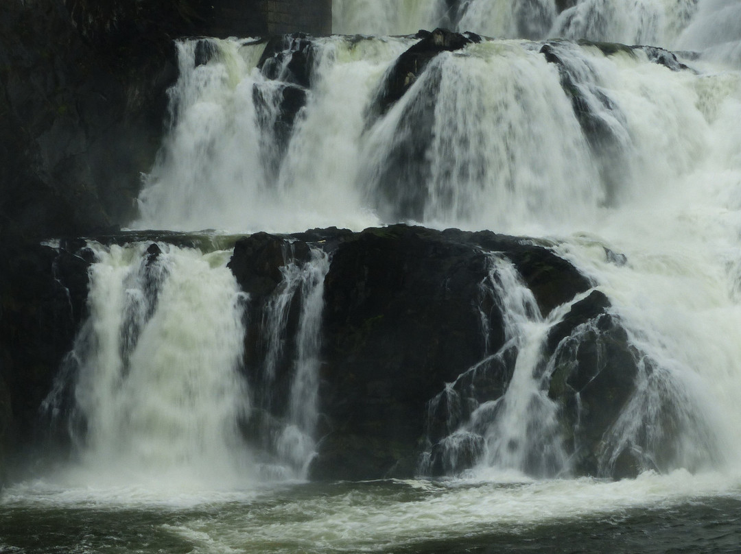 The Creek景点图片