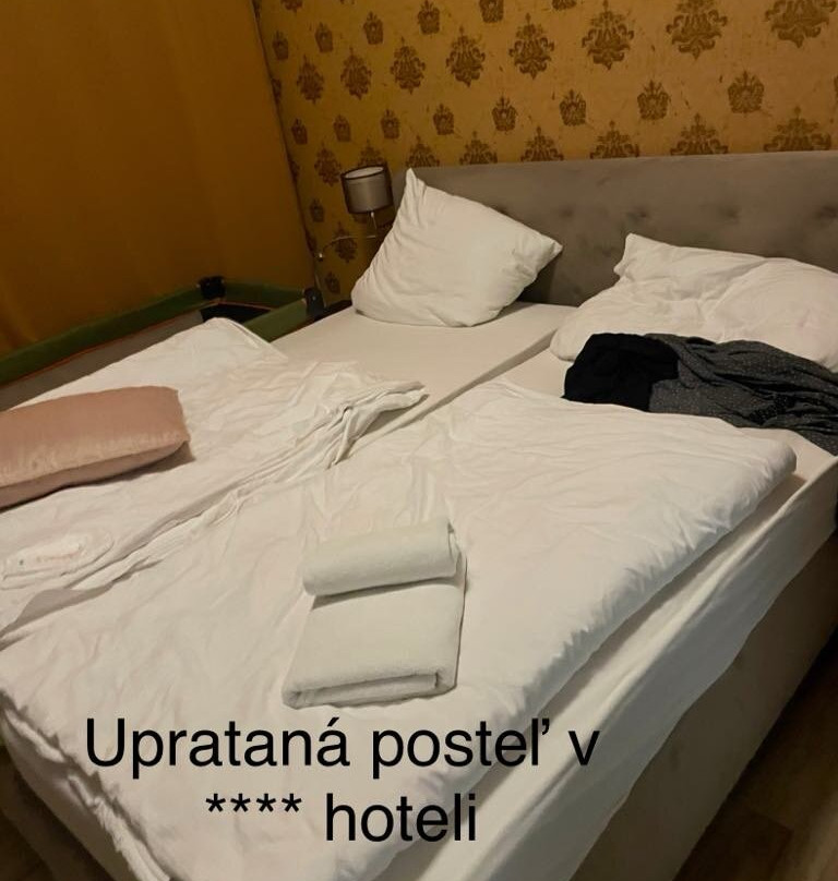 Hotel Black Horse主图