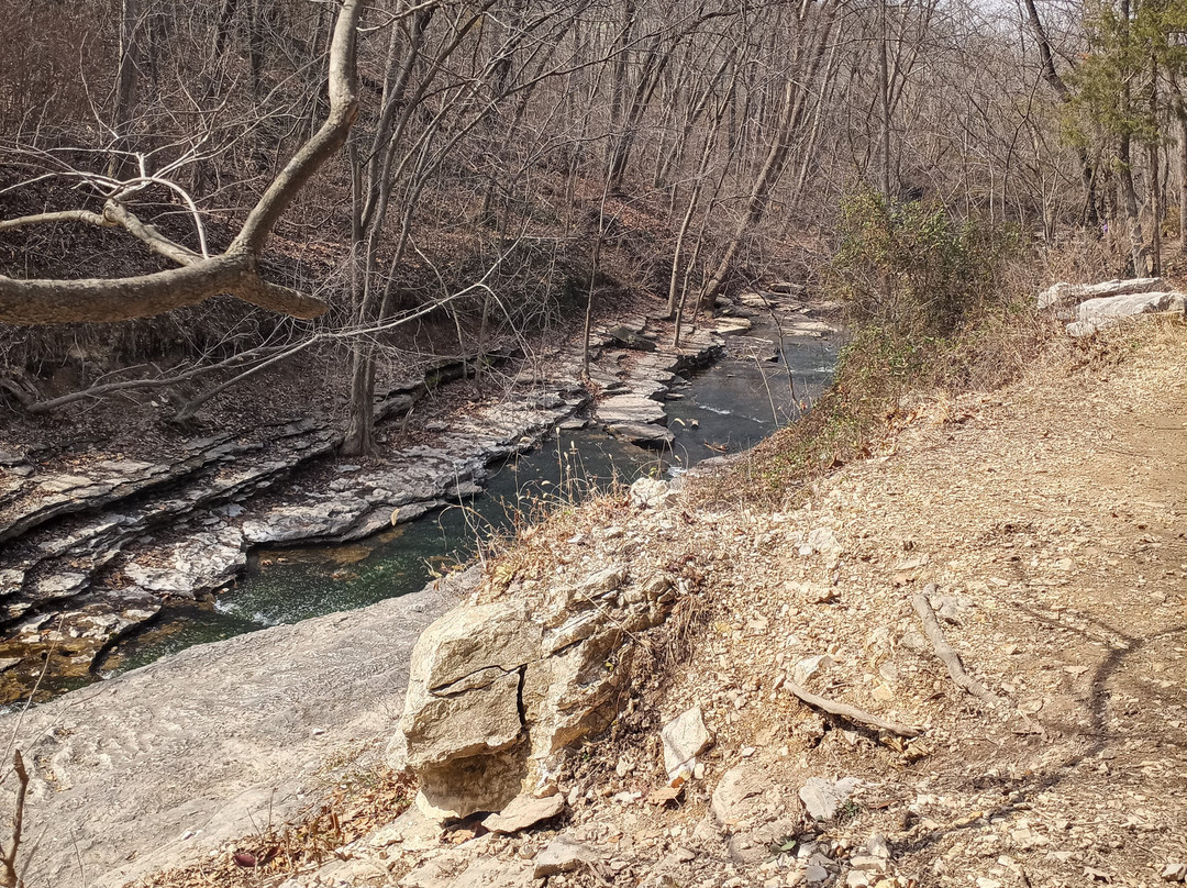 Tanyard Creek Nature Trail景点图片