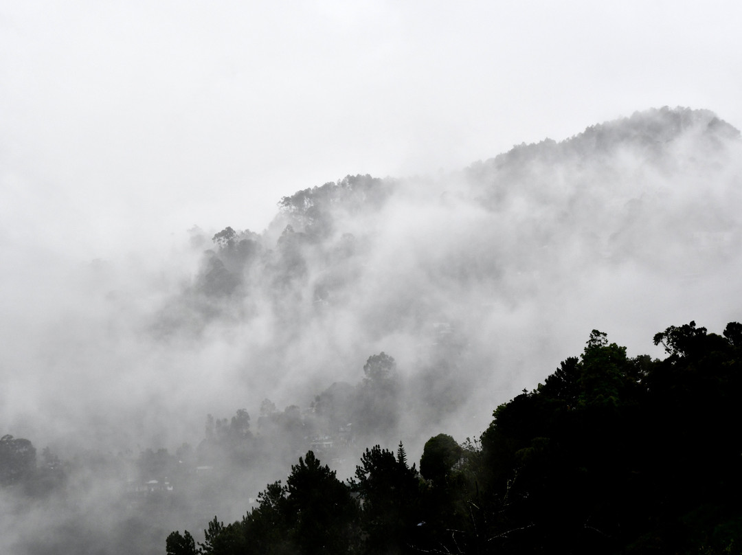 Ceylon Odyssey Travels & Tours景点图片