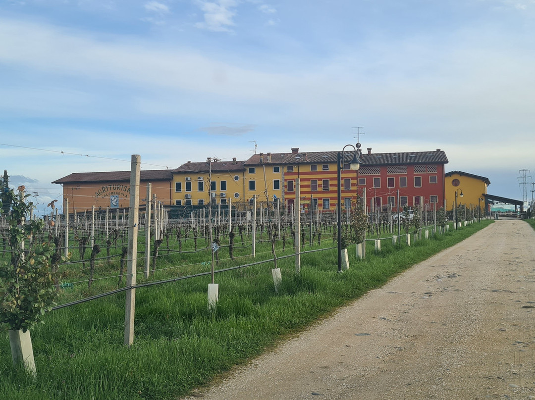 Agriturismo Dei Grippi主图