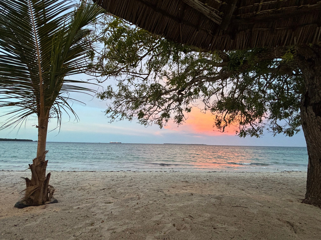 Kijiji Beach Resort主图