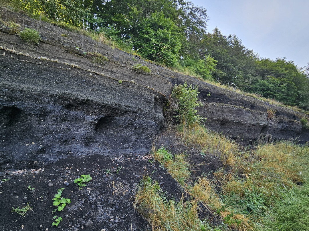 Eifelsteig Etappe Gerolstein - Hillesheim
