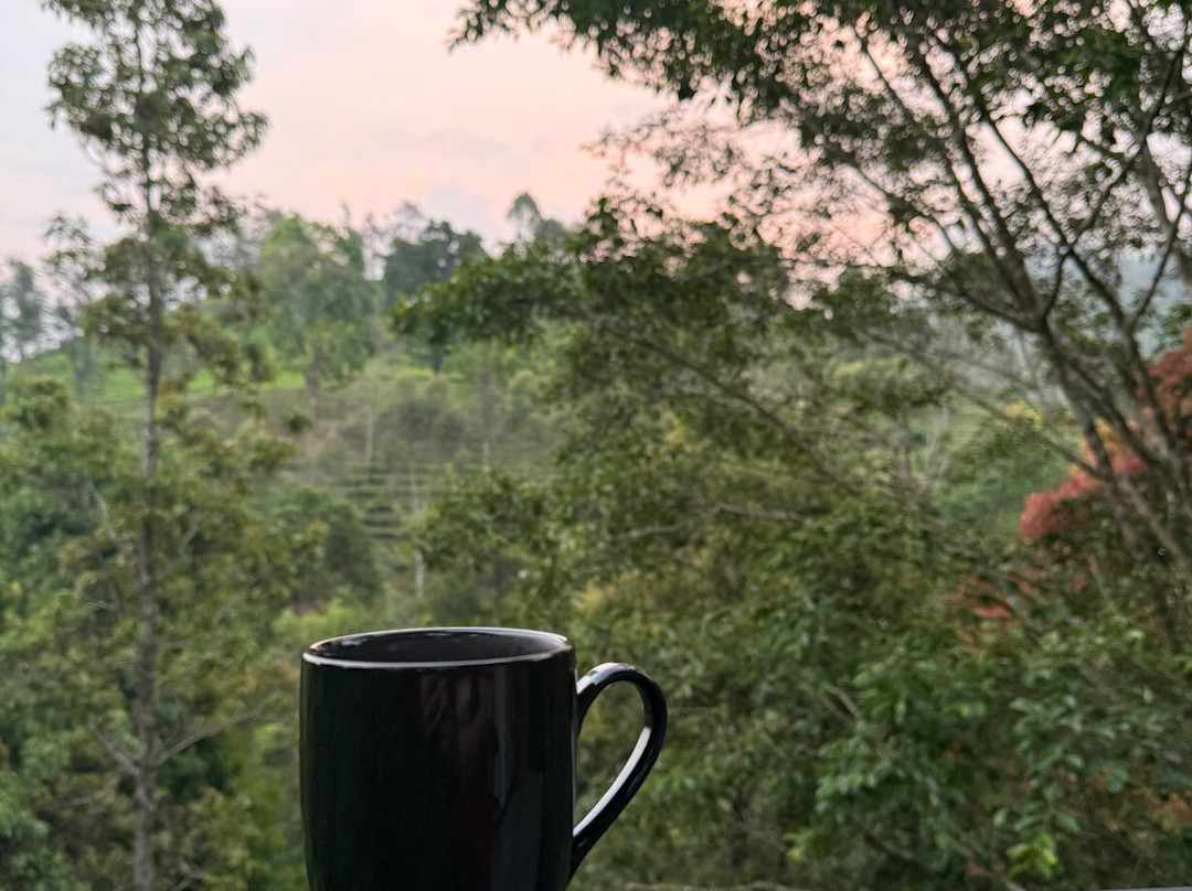 Flora Vythiri Resort主图