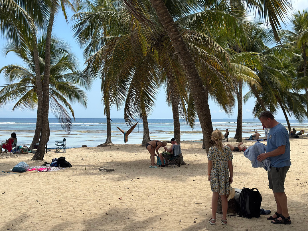 Blue Pearl-瓜德罗普岛必去景点