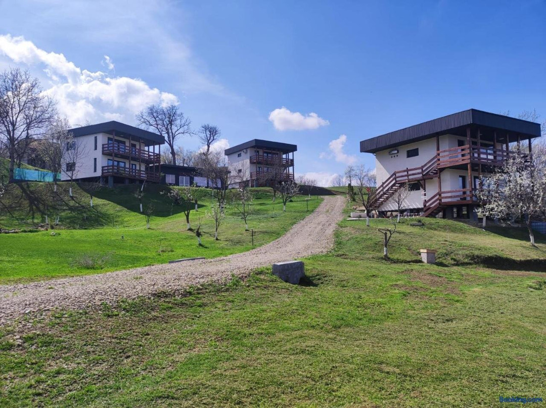 Zen Apartments