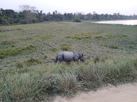 Kaziranga Jeep Safari Assam