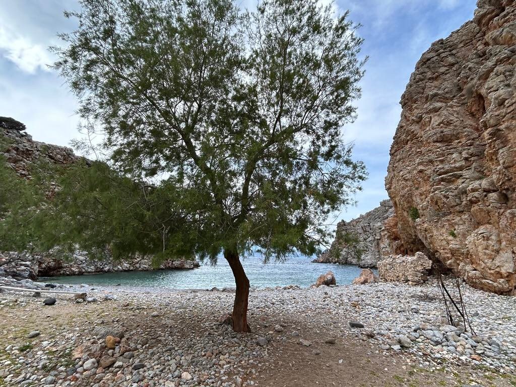 Agriomantra Beach景点图片