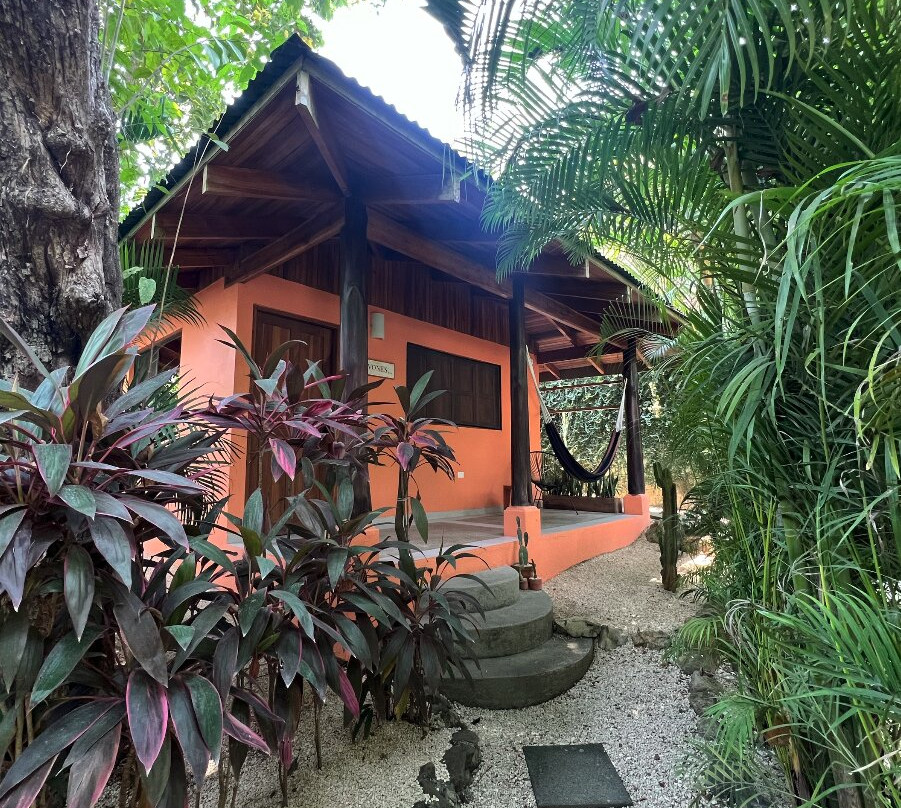 Shaka Costa Rica主图