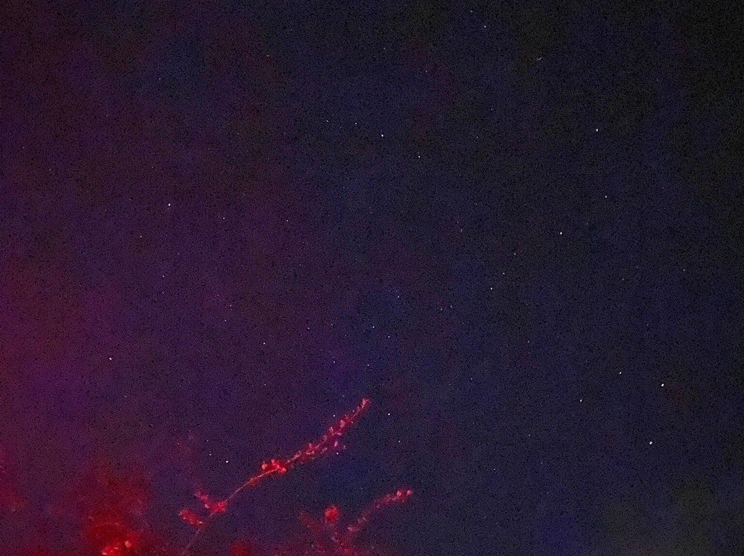 Grassholme Observatory-达勒姆必去景点