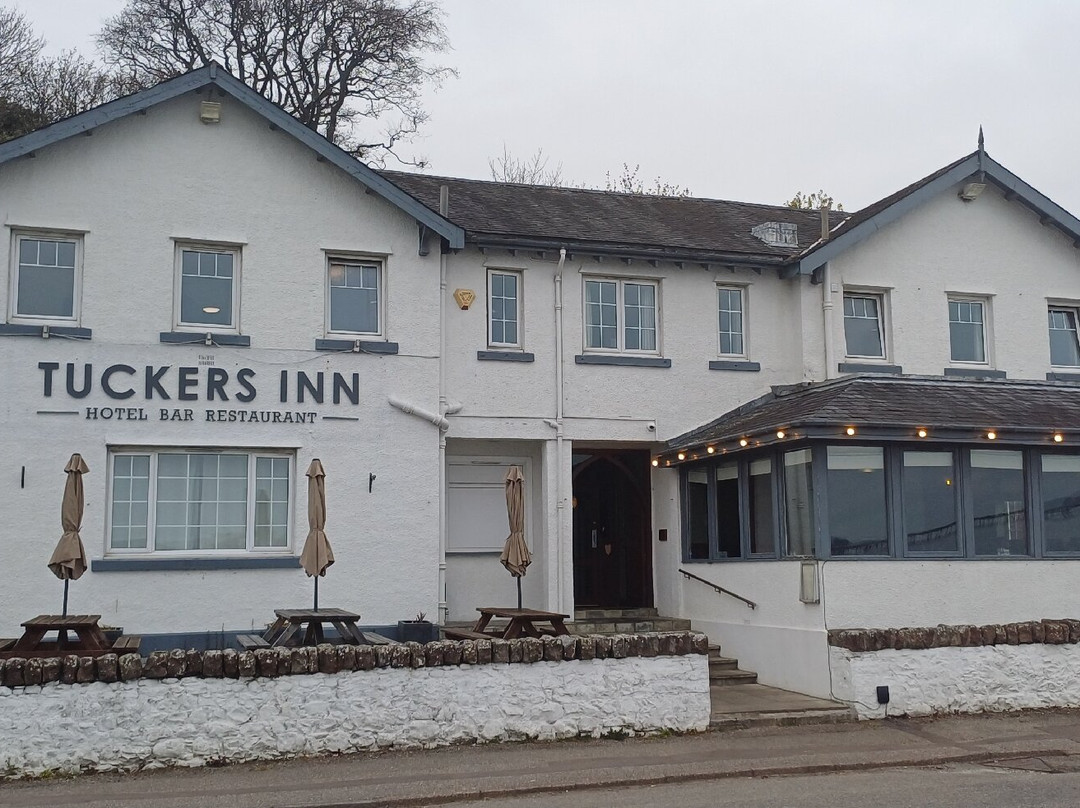 Tuckers Inn主图