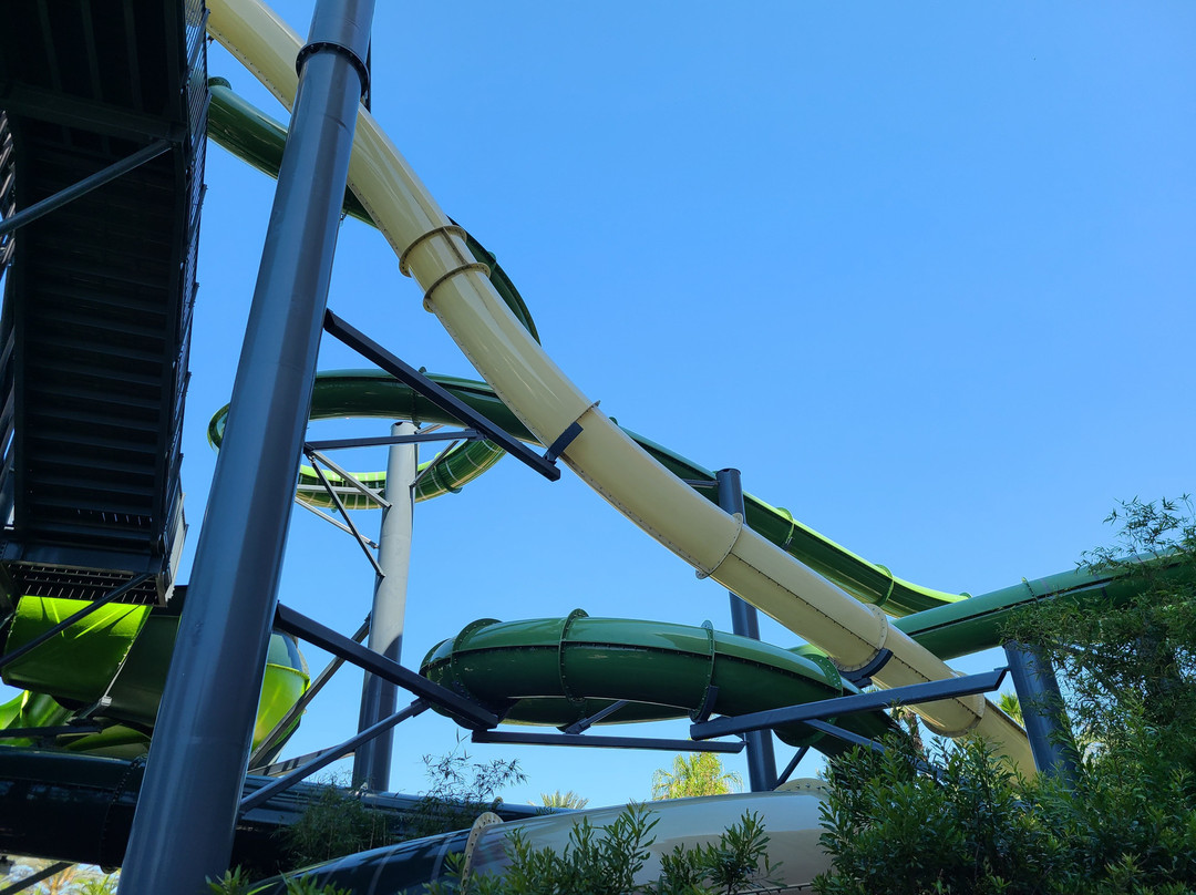 奥兰多格兰德湖丽兹卡尔顿酒店主图