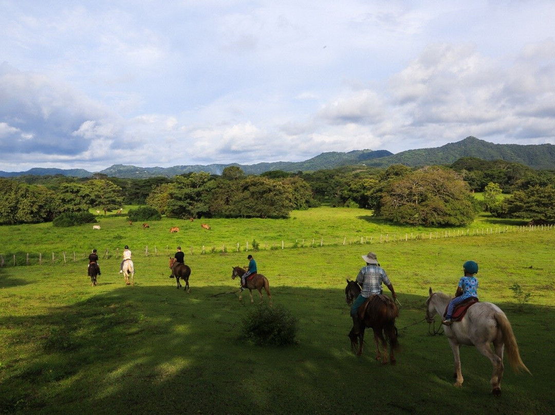 La Pinta Horseback riding Tour景点图片