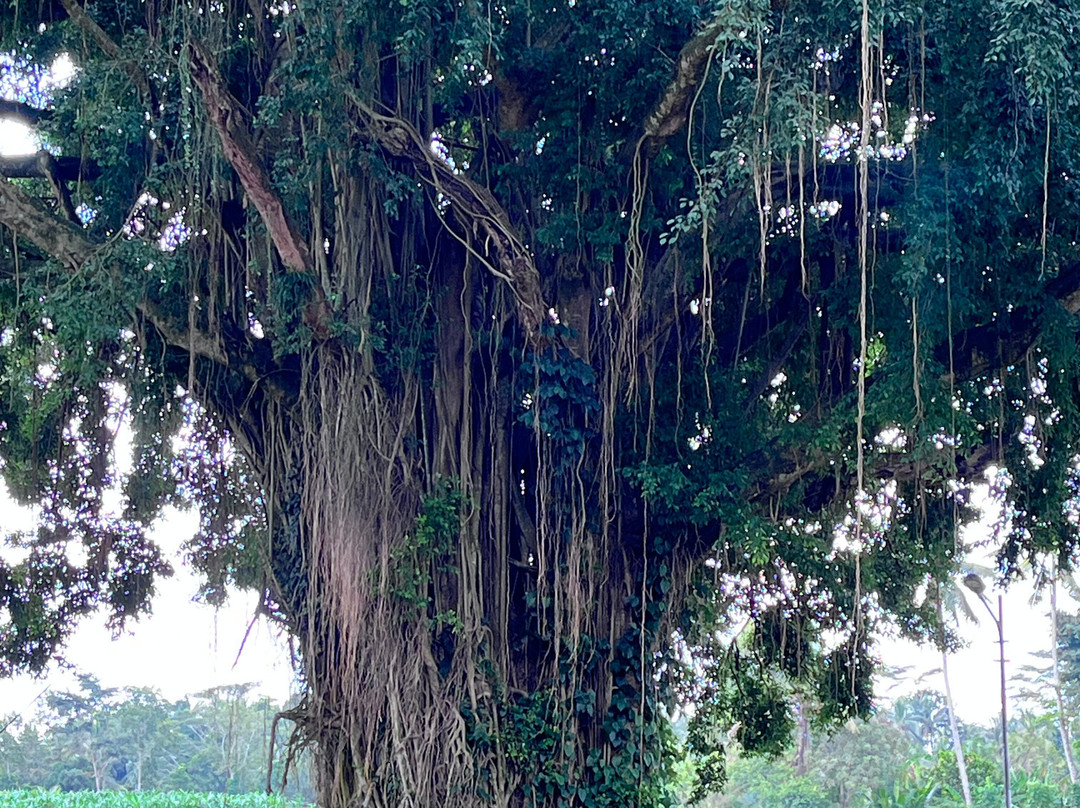 Margarana Memorial Park景点图片