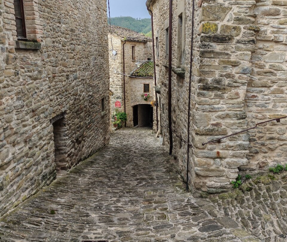 Castello della Pieve景点图片