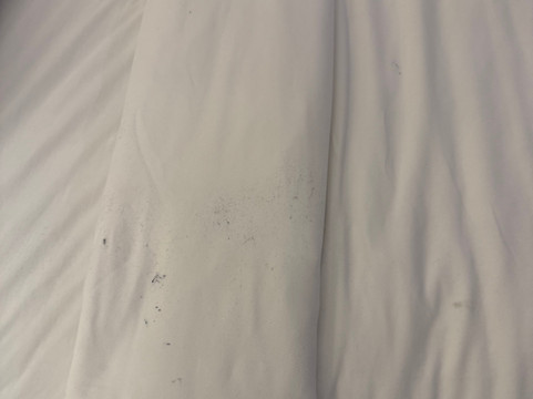 国会大厦塔拉哈西大学万豪AC酒店主图