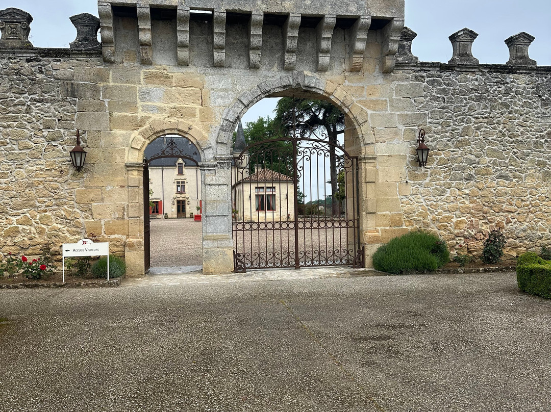 Château de Pressac景点图片