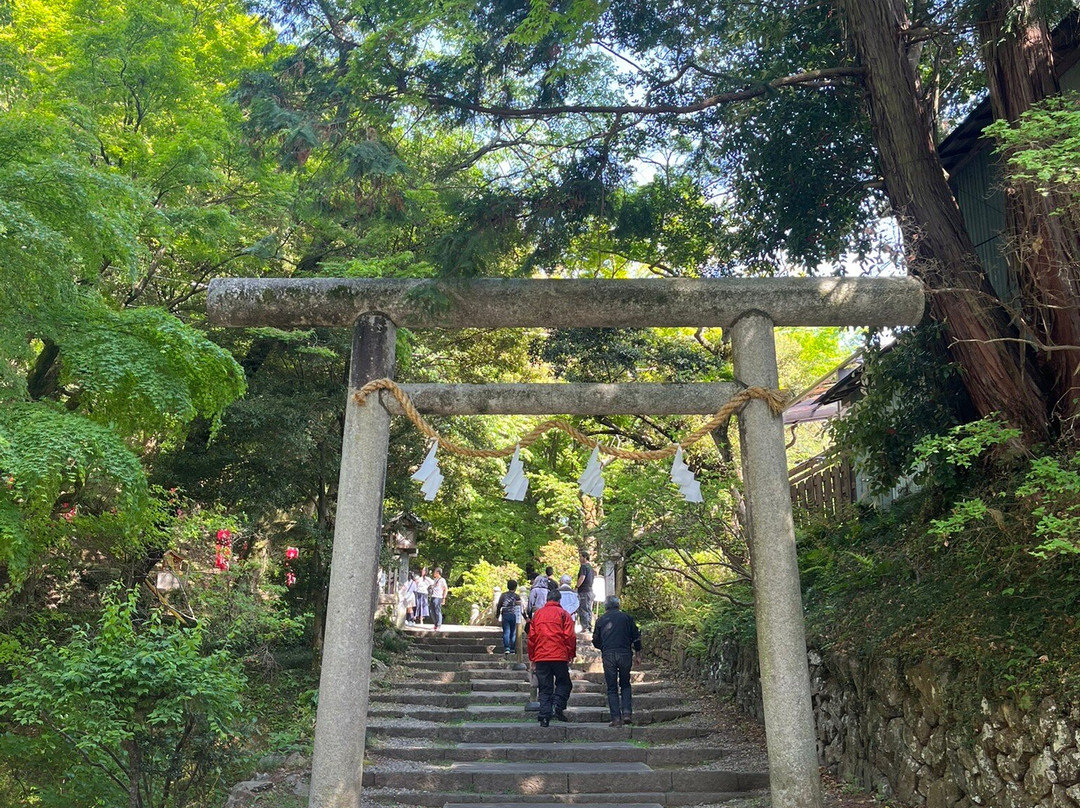 Karasawayama Castle Ruins-佐野市必去景点