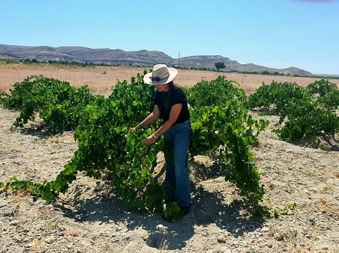 S'narin Vineyards & Winery