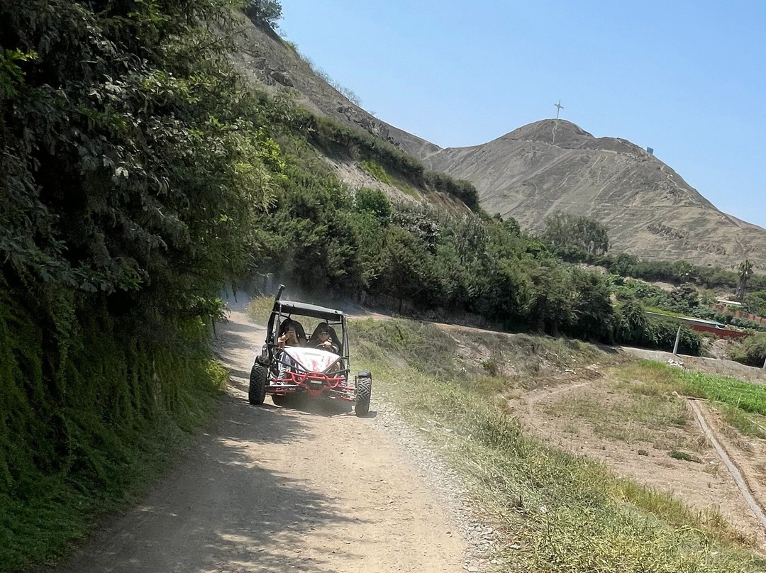 Pachawood Buggies and Quads