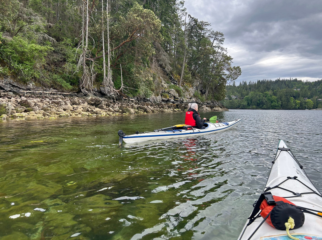 Halfmoon Sea Kayaks-Sechelt必去景点