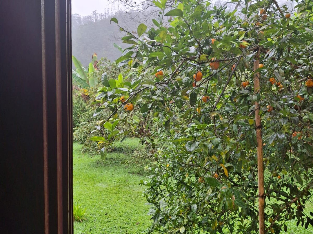 O Verdadeiro Sitio do Picapau Amarelo-Monteiro Lobato必去景点