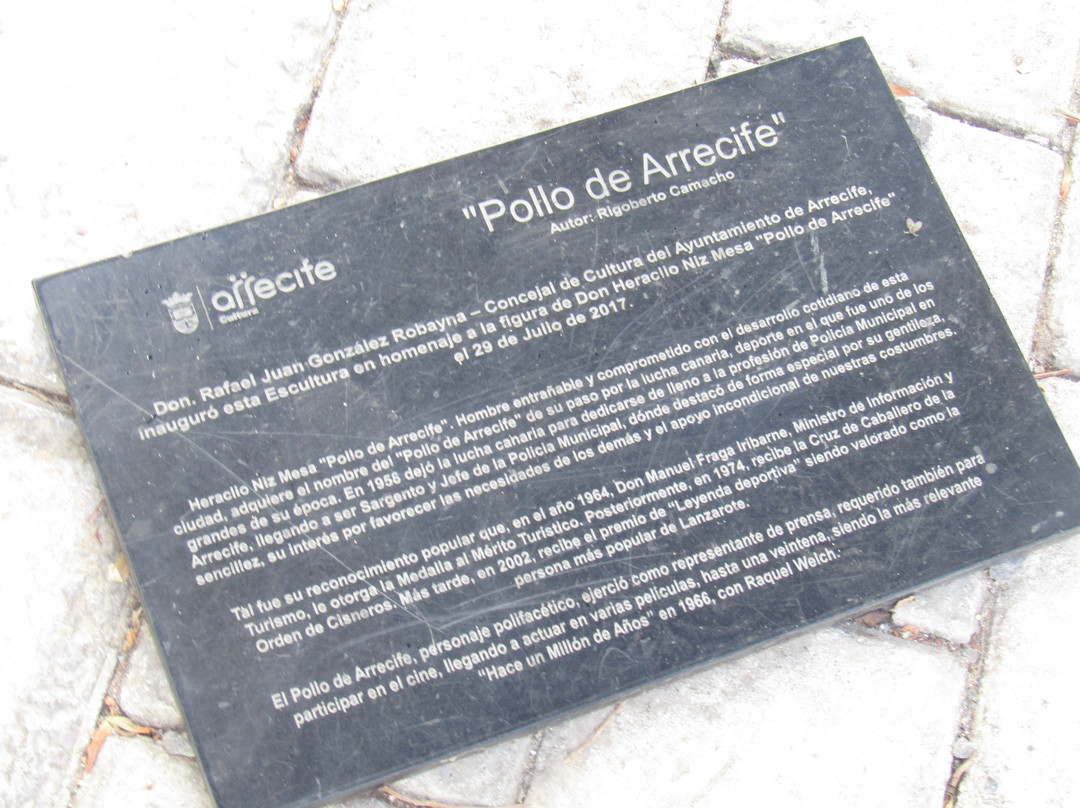 Estatua de Heraclio Niz Mesa-阿雷西费必去景点