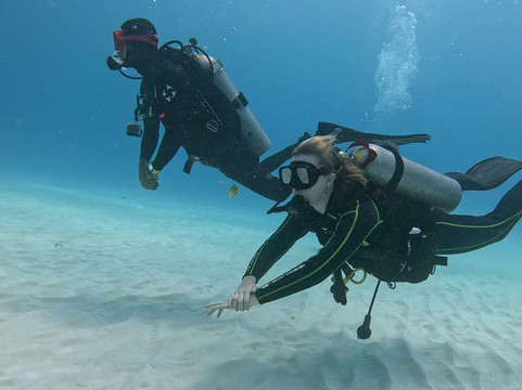 The Dive Machine-普拉亚德尔卡曼必去景点