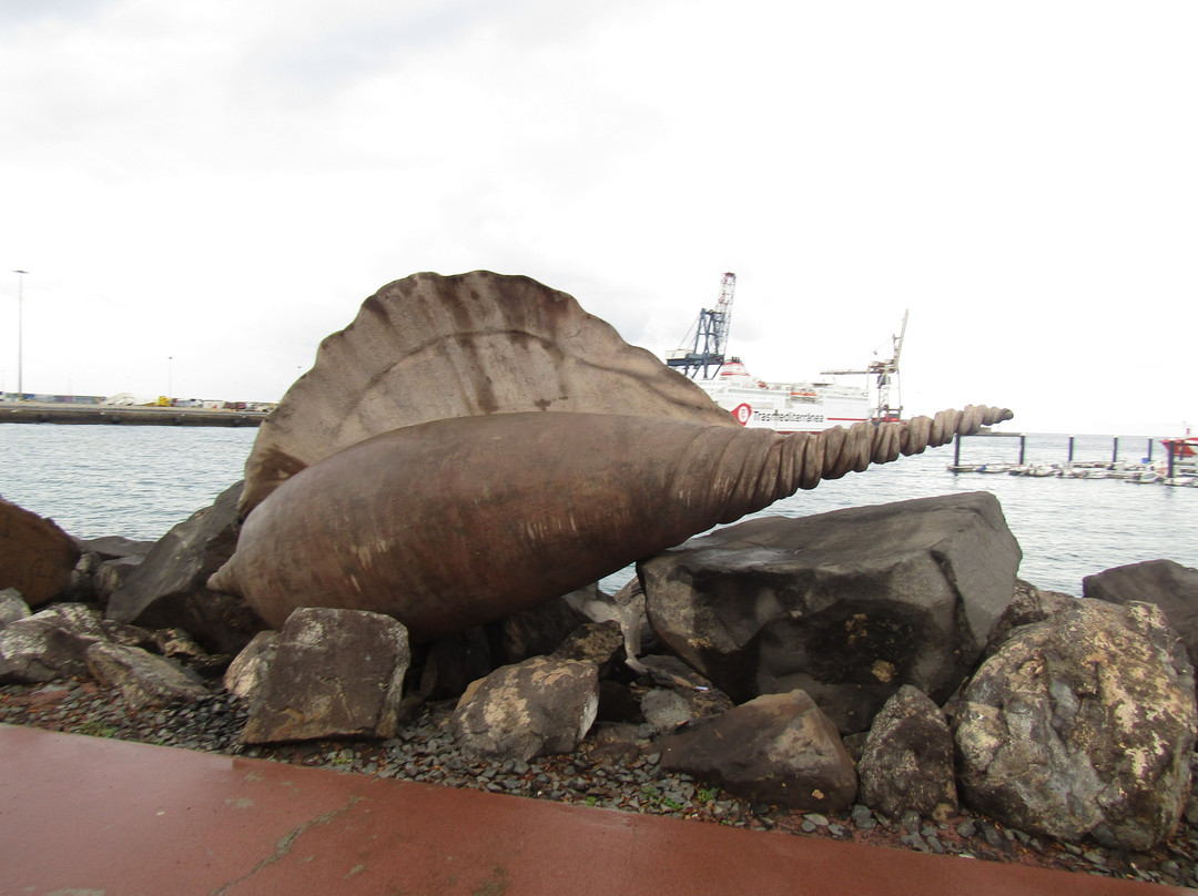 Sculpture Park Puerto Del Rosario景点图片