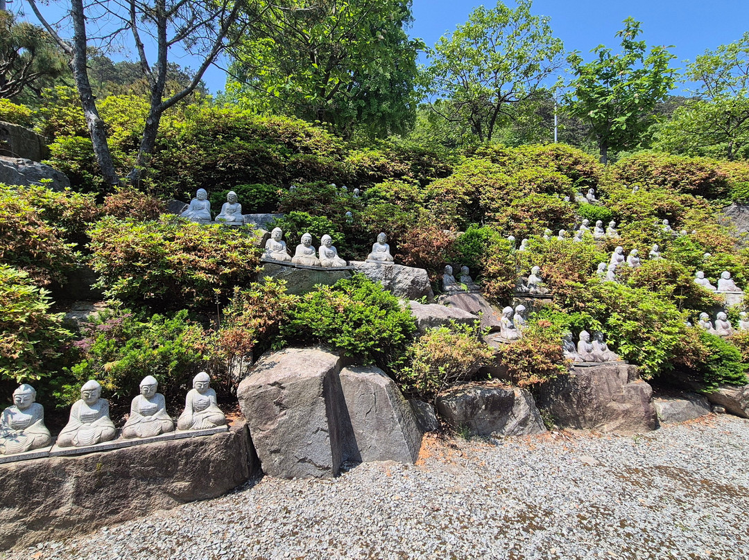 Hwangryongsa Temple-世宗市必去景点